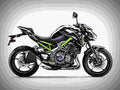 Kawasaki Z800 Performance 2017 1 motorbike A4 Photo Print