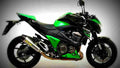 Kawasaki Z800 e version SE 2017 4 motorbike A4 Photo Print