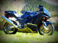 Kawasaki ZX 12R 2000 3 motorbike A4 Photo Print