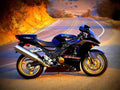 Kawasaki ZX 12R Ninja 2003 2 motorbike A4 Photo Print
