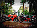 Kawasaki ZX 14 2008 5 motorbike A4 Photo Print