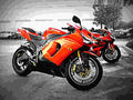 Kawasaki ZX 6R 1995 2 motorbike A4 Photo Print