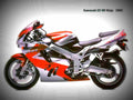 Kawasaki ZX 9R Ninja 1994 3 motorbike A4 Photo Print