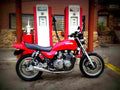 Kawasaki Zephyr 550 1991 2 motorbike A4 Photo Print