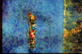 Kayak Canoes 155004 Outrigger Canoes Vancouver, B.C. A4 Limited Edition Watercolour Print
