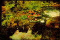 Kayak Canoes 155046 Chicoutimi River, Quebec A4 Limited Edition Watercolour Print