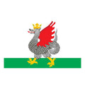 Kazan City Flag N6864 A4 Photo Print