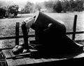 Keaton Buster General The 1 film star poster A4 Photo Print