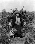 Keaton Buster Scarecrow The 1 film star poster A4 Photo Print