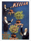 Kellar Rose Tree Magic Poster Vintage Retro Advert Poster A4 Photo Print