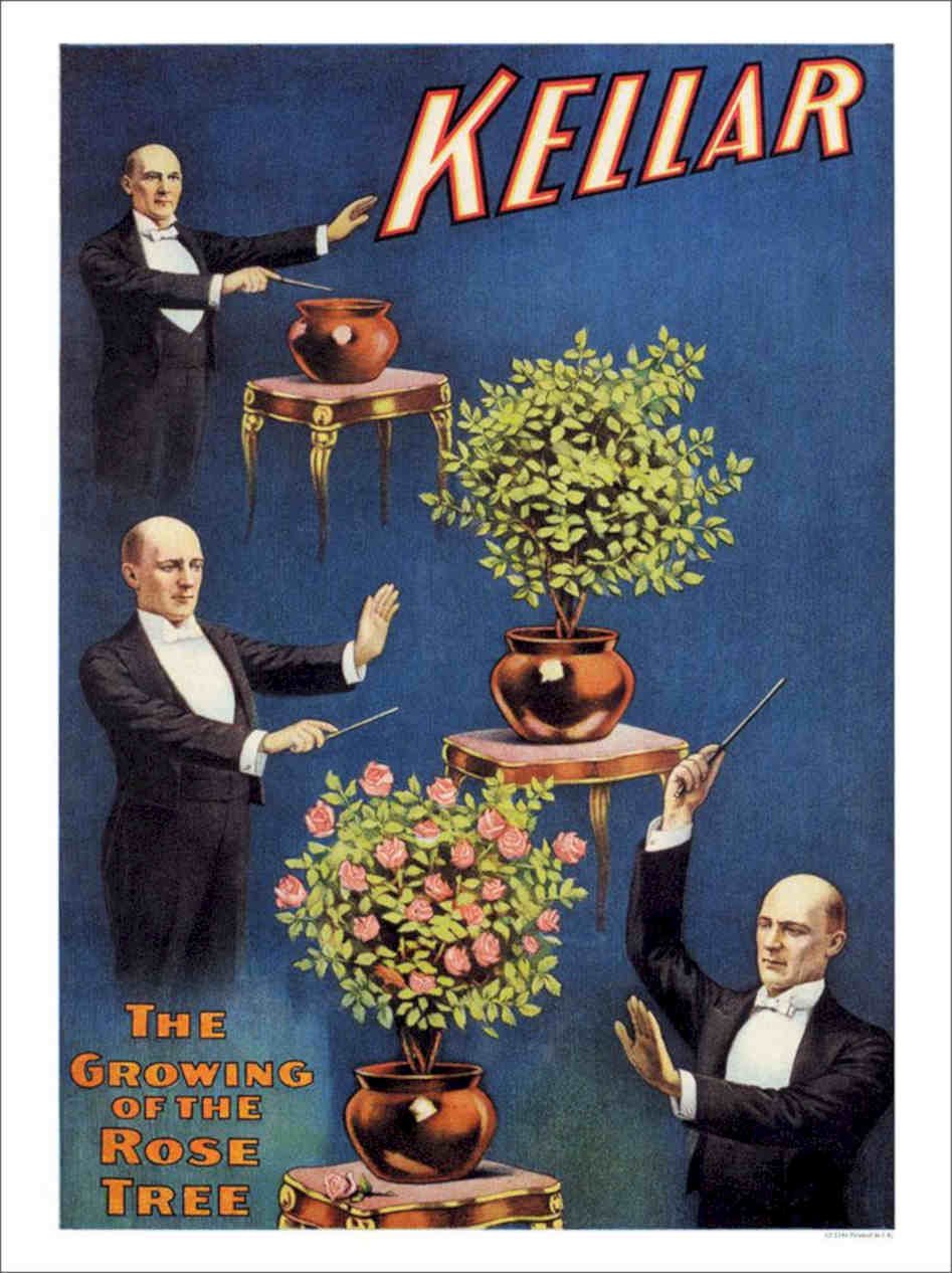 Kellar Rose Tree Magic Poster Vintage Retro Advert Poster A4 Photo Print