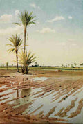 Kelly Robert Talbot 1861 1934 Egypt 1903 An irrigated field A4 Photo Print
