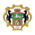 Kemerovo1994 Obl Coat Of Arms N4477 A4 Photo Print