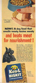 Ken L Biskit 1 Vintage Retro Advert Ads A4 Photo Print