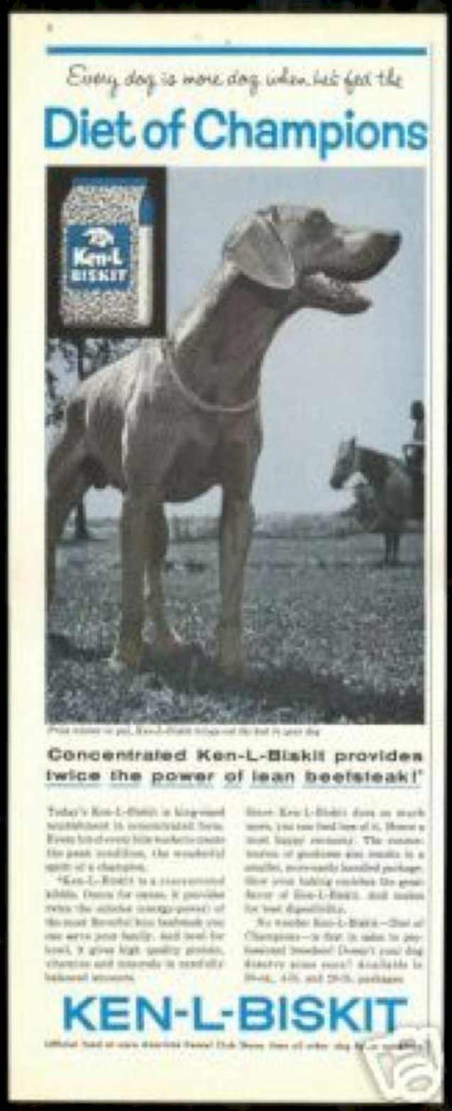 Ken L Biskit 2 Vintage Retro Advert Ads A4 Photo Print
