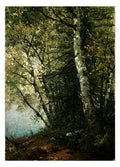 Kensett John F Study Of Beeches A4 Photo Print