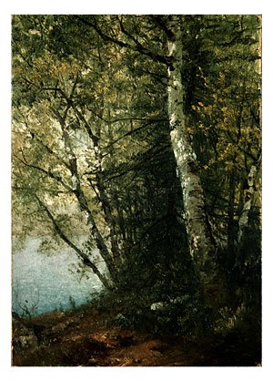 Kensett John F Study Of Beeches A4 Photo Print