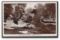 Kent Beckenham Parklangley The Lake & Trees Vintage A4 Photo Print