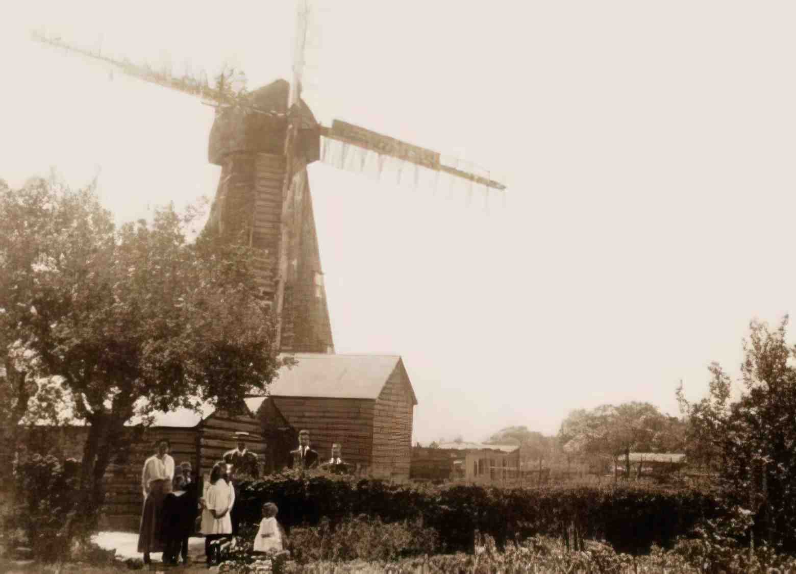 Kent Blean Glovers Mill c1900 Vintage A4 Photo Print