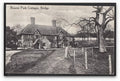 Kent Bridge Bourne Park Cottages From Rural Road Large Tree Vintage A4 Photo Print