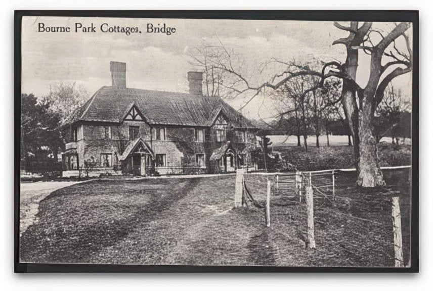 Kent Bridge Bourne Park Cottages From Rural Road Large Tree Vintage A4 Photo Print