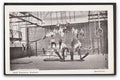Kent Chatham Dockyard Royal Engineers Pose In The Gymnasium Vintage A4 Photo Print
