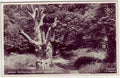 Kent England 138 Vintage A4 Photo Print
