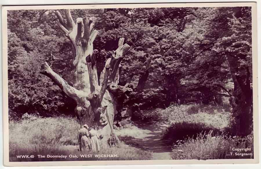Kent England 138 Vintage A4 Photo Print