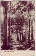 Kent England 211 Vintage A4 Photo Print