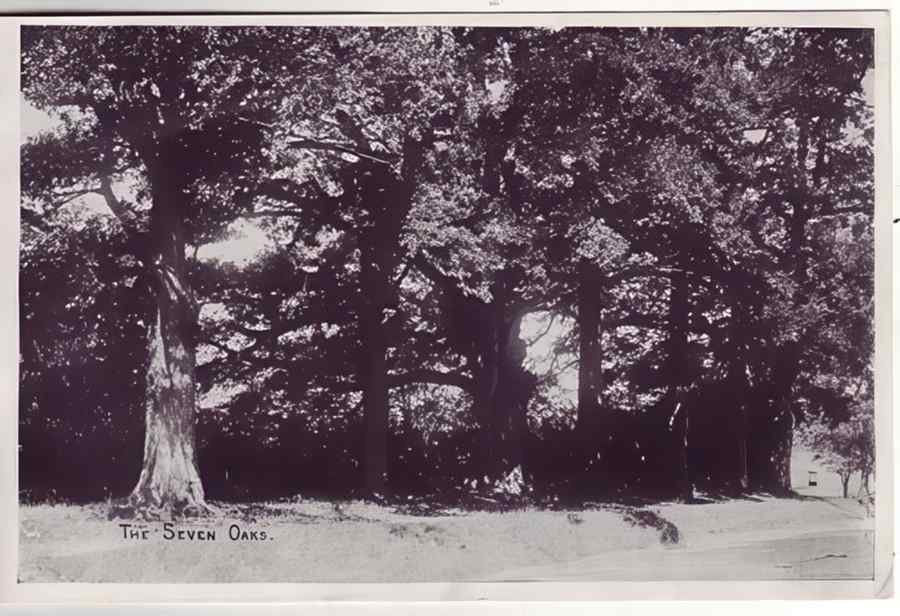 Kent England 223 Vintage A4 Photo Print