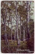 Kent England 264 Vintage A4 Photo Print