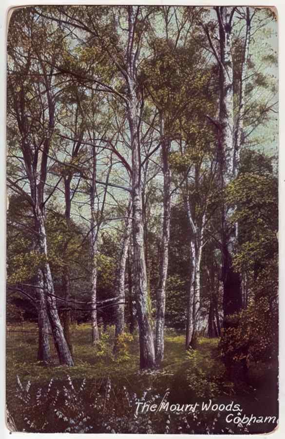 Kent England 264 Vintage A4 Photo Print