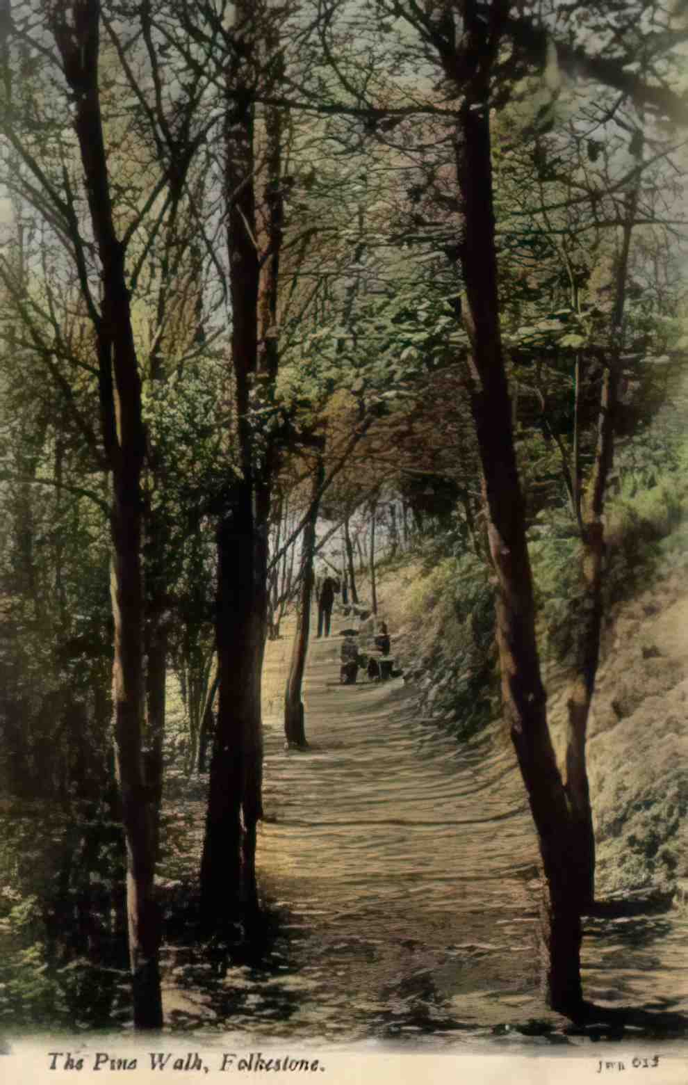 Kent Folkestone The Pine Walk Vintage A4 Photo Print