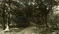 Kent High Brooms The Woods Vintage A4 Photo Print