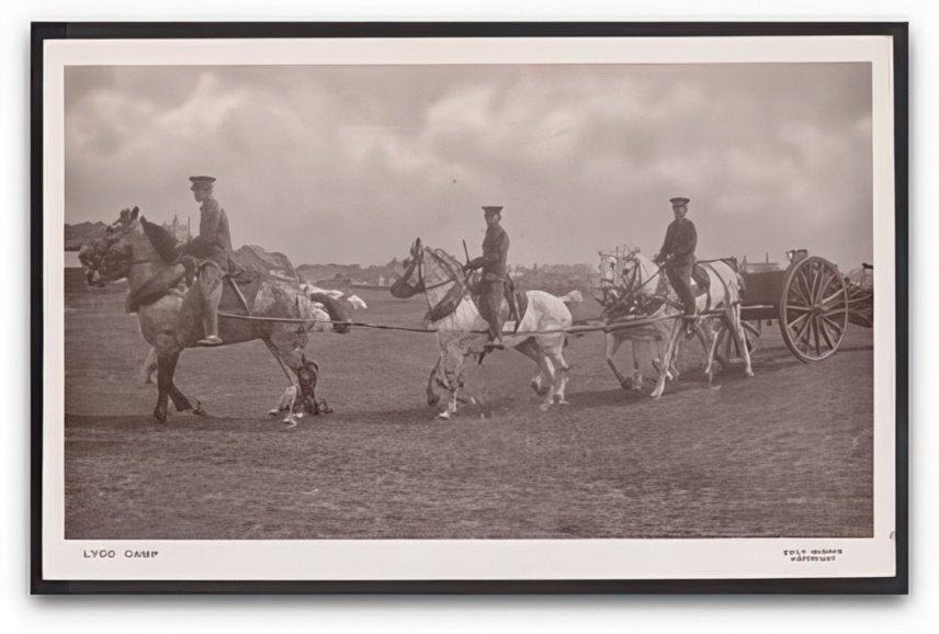Kent Lydd Camp Soldiers On Horses Pull Gun Into Position 1908 Vintage A4 Photo Print