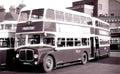 Kent Maidstone Double Decker Bus 1950s Vintage A4 Photo Print