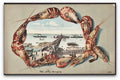 Kent Margate The Jetty Pier Steamers View Inside Embossed Shrimps Vintage A4 Photo Print
