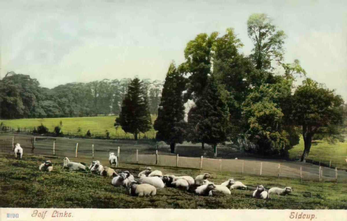 Kent Sidcup Golf Links Vintage A4 Photo Print