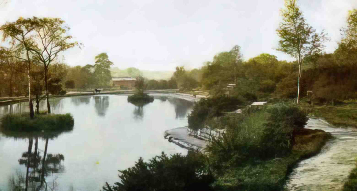 Kent Tunbridge Wells Lake on the Common Vintage A4 Photo Print
