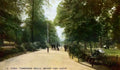 Kent Tunbridge Wells Mount Sion Grove Vintage A4 Photo Print
