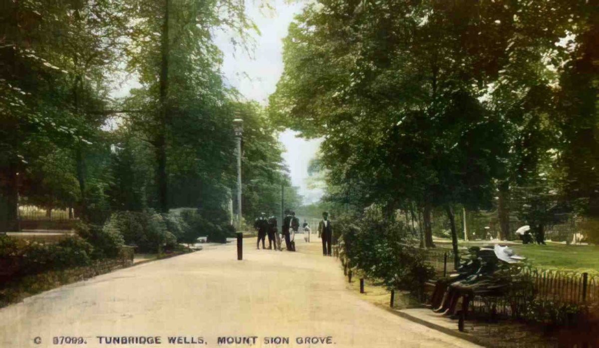 Kent Tunbridge Wells Mount Sion Grove Vintage A4 Photo Print