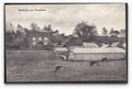 Kent Westerham Moorhoue Farm House & Outbuildings Cows Graze Vintage A4 Photo Print