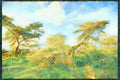 Kenya Africa 253008 Giraffe Feeding On Acacia A4 Limited Edition Watercolour Print