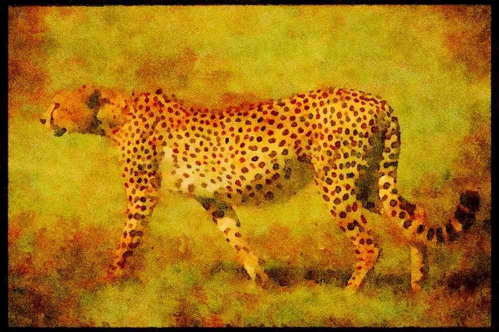 Kenya Africa 253021 Cheetah A4 Limited Edition Watercolour Print