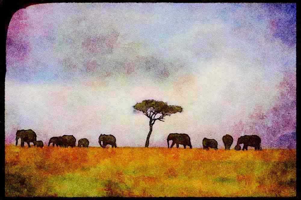 Kenya Africa 253036 African Elephants Marching Single File A4 Limited Edition Watercolour Print