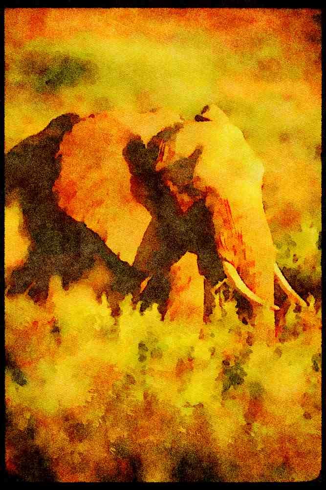 Kenya Africa 253037 Matriarch Elephant A4 Limited Edition Watercolour Print