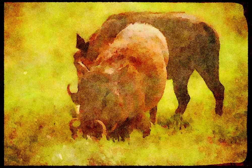 Kenya Africa 253042 Warthogs, Nairobi Park Reserve A4 Limited Edition Watercolour Print