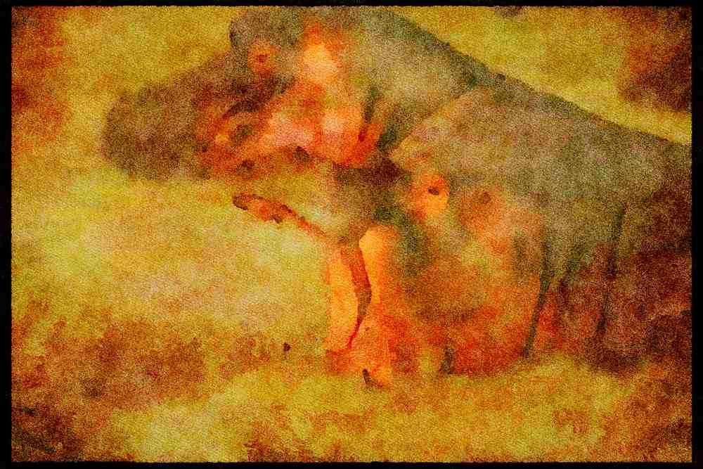 Kenya Africa 253057 Hippopotamus In Mara River A4 Limited Edition Watercolour Print