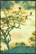 Kenya Africa 253059 Storks In The Treetops At Sunset A4 Limited Edition Watercolour Print