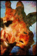 Kenya Africa 253060 Rothchild's Giraffe A4 Limited Edition Watercolour Print